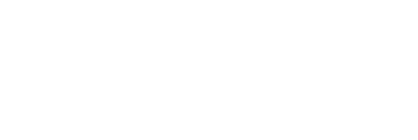 logo sfizioli