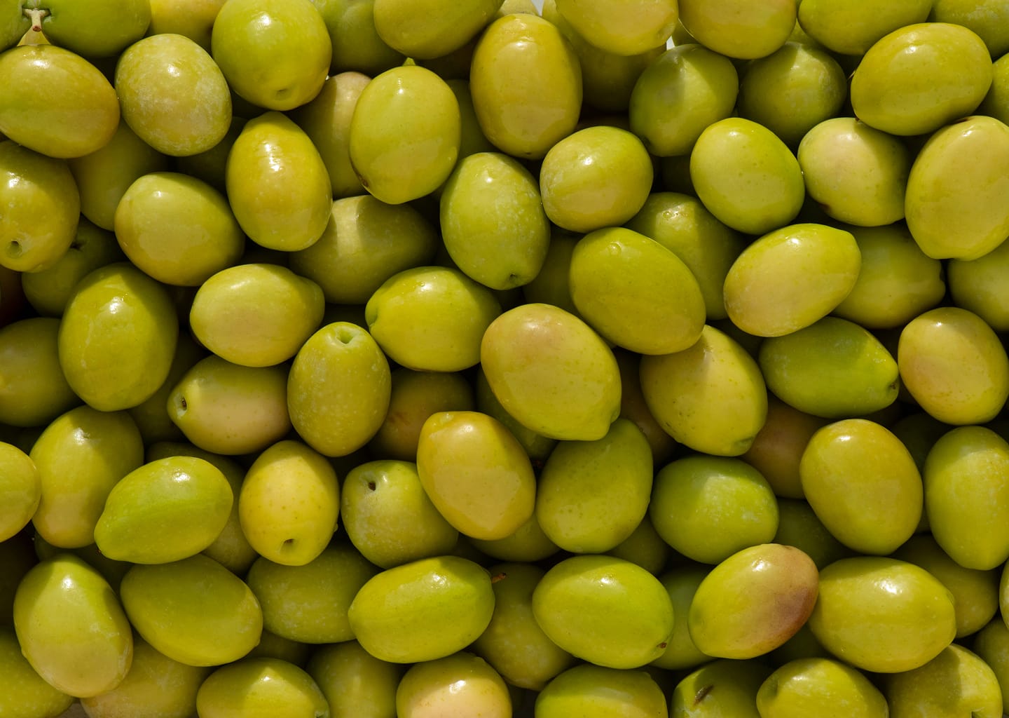 Olive Verdi Intere Doypack