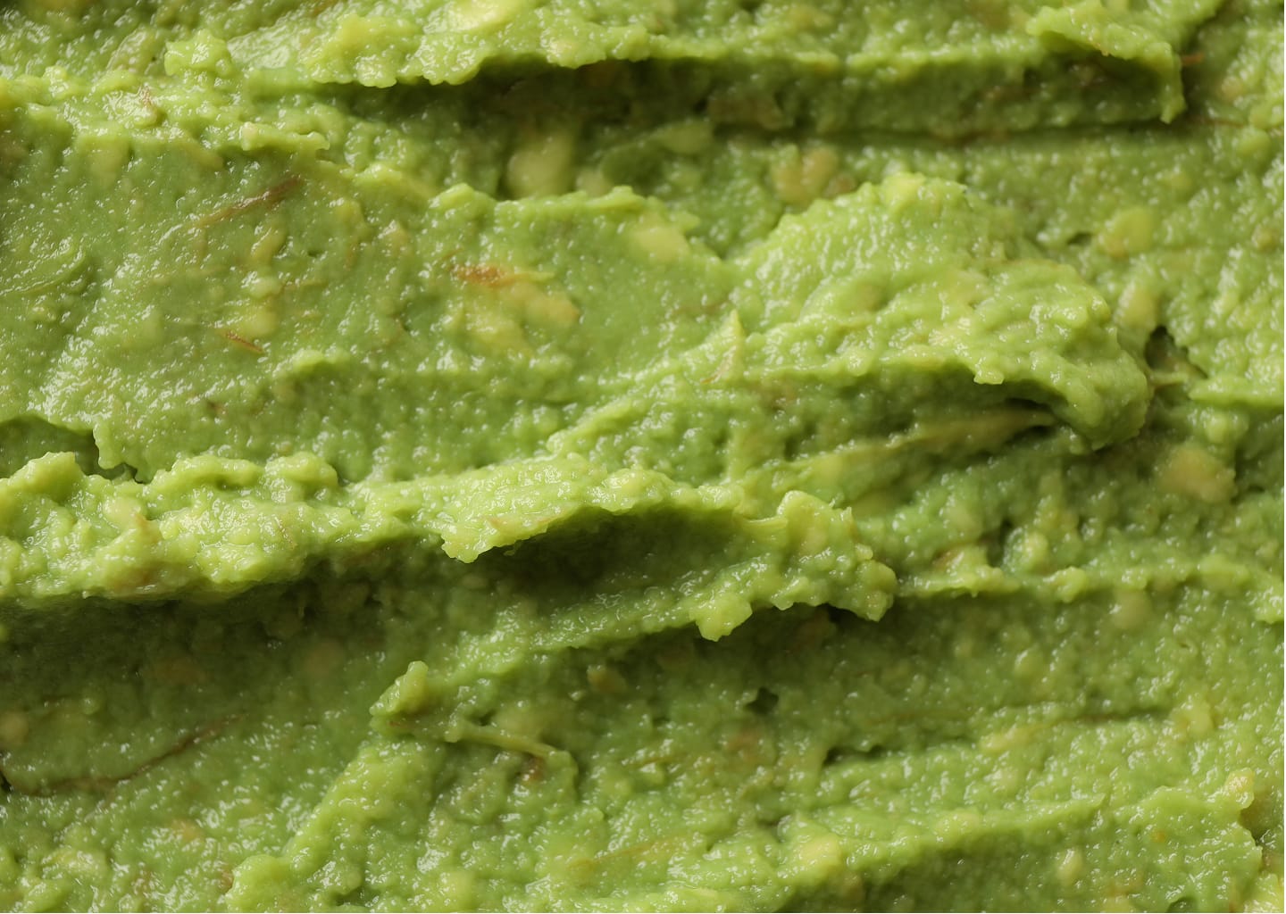 Salsa Guacamole con Avocado
